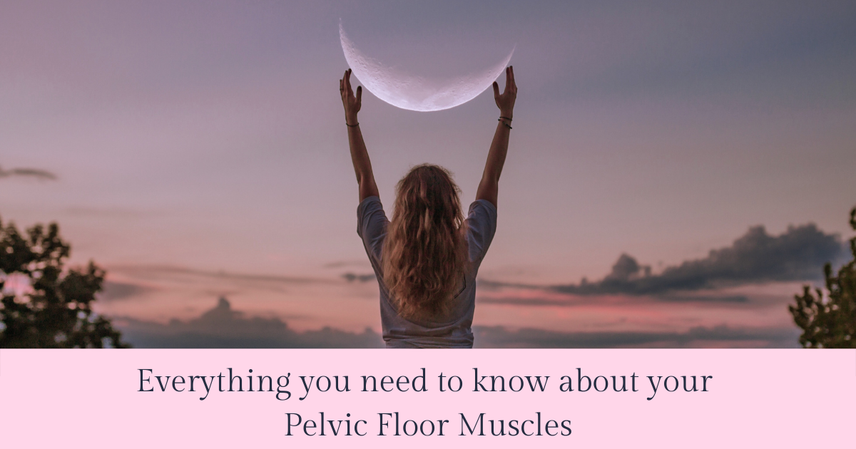 Pelvic Floor Muscles – All You Need to Know