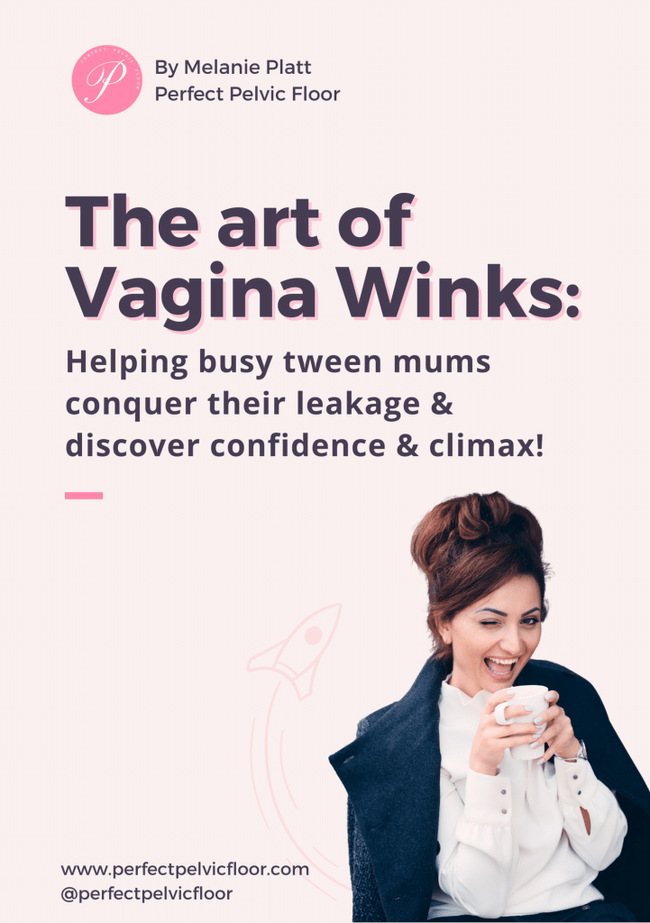 Vagina Winks E-Book